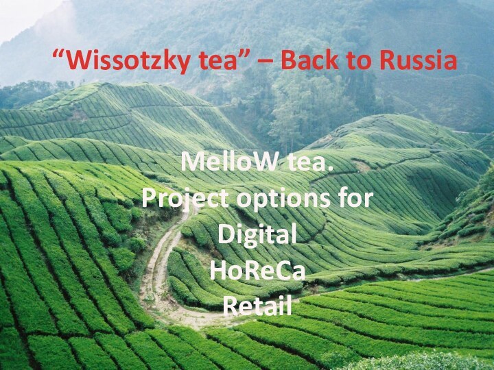 “Wissotzky tea” – Back to Russia MelloW tea. Project options for  Digital HoReCa Retail