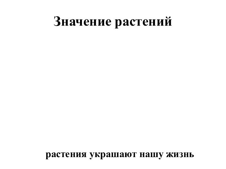 Значение растенийрастения украшают нашу жизнь