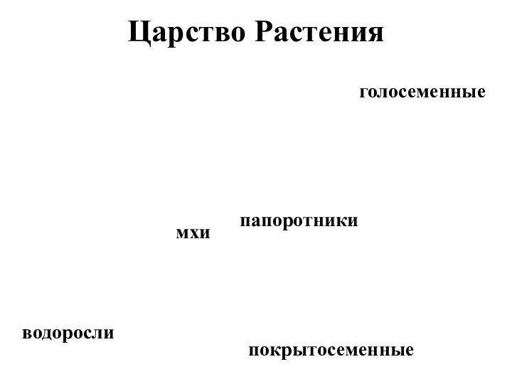 Царство Растенияводорослимхипапоротникиголосеменныепокрытосеменные