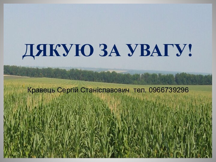 ДЯКУЮ ЗА УВАГУ! Кравець Сергій Станіславович тел. 0966739296