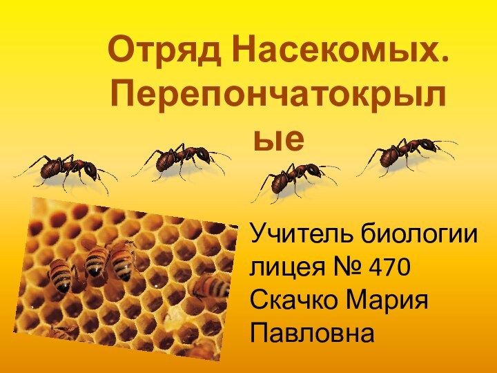 Учитель биологии лицея № 470  Скачко Мария ПавловнаОтряд Насекомых. Перепончатокрылые