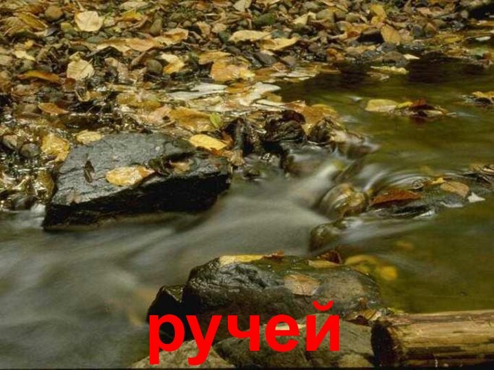 Ручейручей Ручей. Ручей.