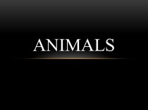 Animals