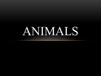 Animals