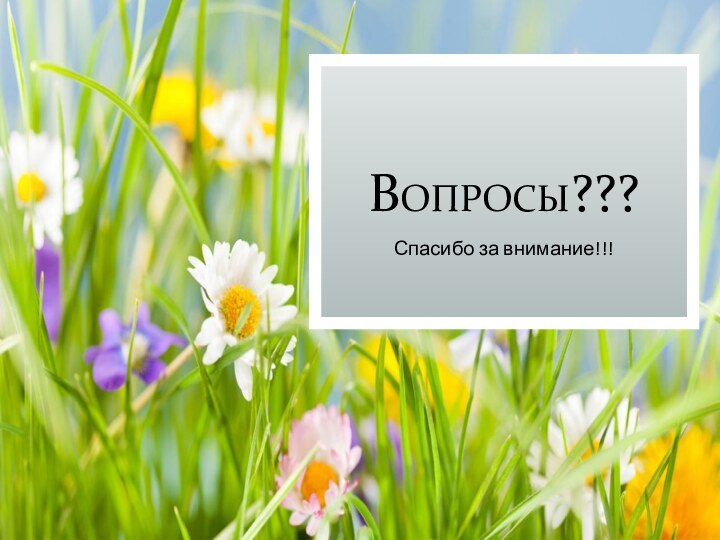 Вопросы???Спасибо за внимание!!!