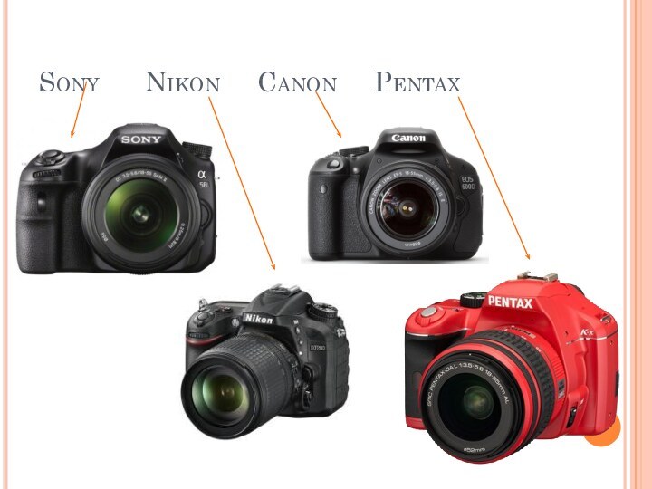 Sony   Nikon   Canon   Pentax
