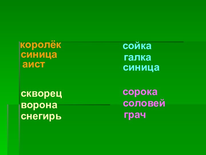 королёксиницааистсойкагалкасиницаскворецворонаснегирьсорокасоловейграч