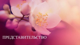 ПРЕДСТАВИТЕЛЬСТВО