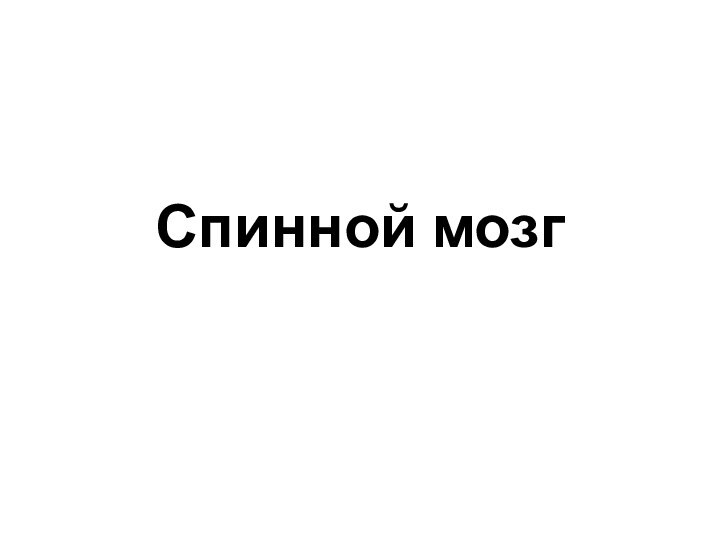 Спинной мозг