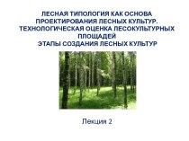Лесная типология как основа проектирования лесных культур