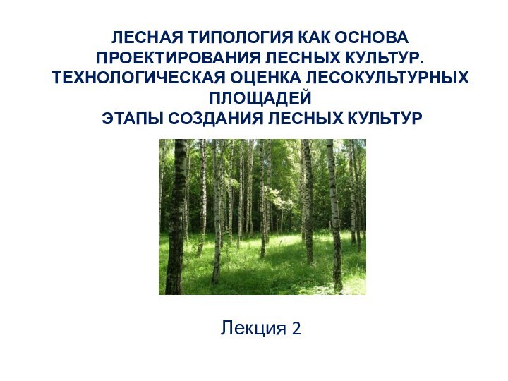 ЛЕСНАЯ ТИПОЛОГИЯ КАК ОСНОВА ПРОЕКТИРОВАНИЯ ЛЕСНЫХ КУЛЬТУР. ТЕХНОЛОГИЧЕСКАЯ ОЦЕНКА ЛЕСОКУЛЬТУРНЫХ ПЛОЩАДЕЙ