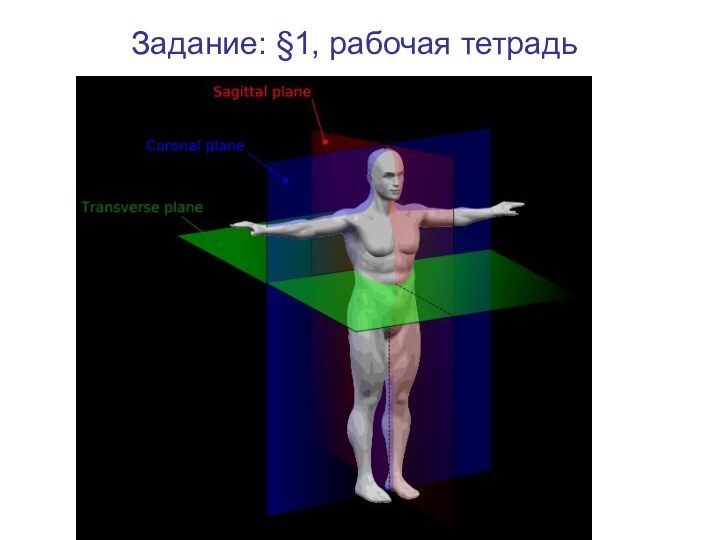 Задание: §1, рабочая тетрадь