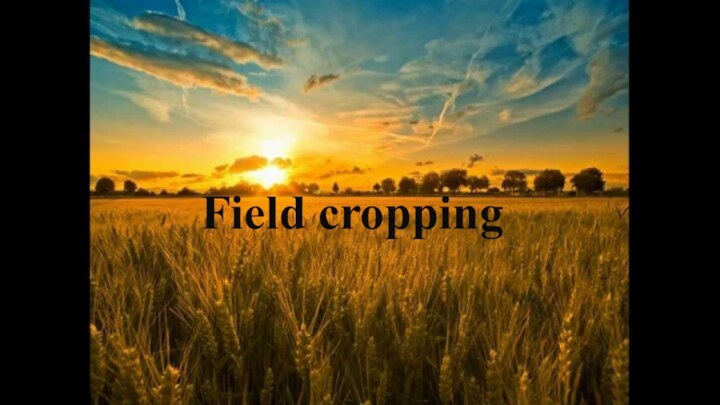 Field cropping