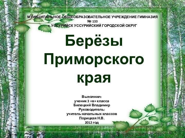 Берёзы  Приморского краяМУНИЦИПАЛЬНОЕ ОБЩЕОБРАЗОВАТЕЛЬНОЕ УЧРЕЖДЕНИЕ ГИМНАЗИЯ № 133 г. УССУРИЙСК УССУРИЙСКИЙ