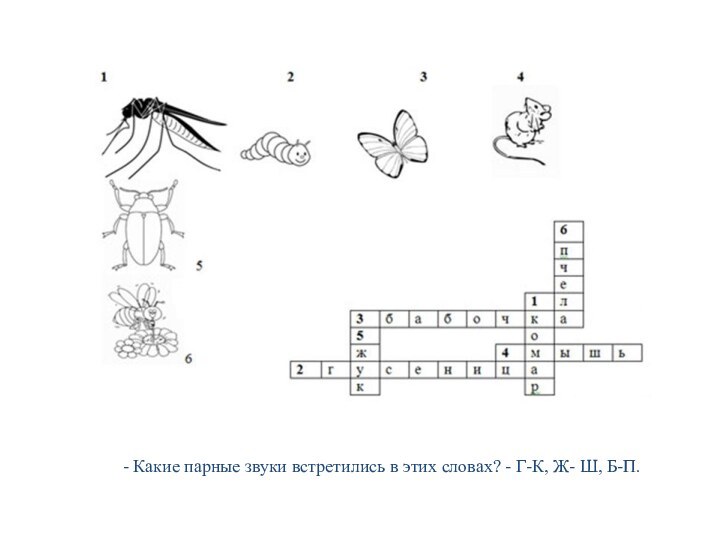 - Какие парные звуки встретились в этих словах? - Г-К, Ж- Ш, Б-П.