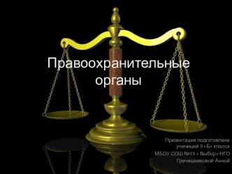 Правоохранительные органы