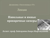 Дисциплина Теплотехника и ТУЛекцияНапольные и ямные пропарочные камеры