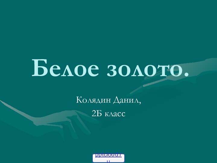 Белое золото.Колядин Данил,2Б класс