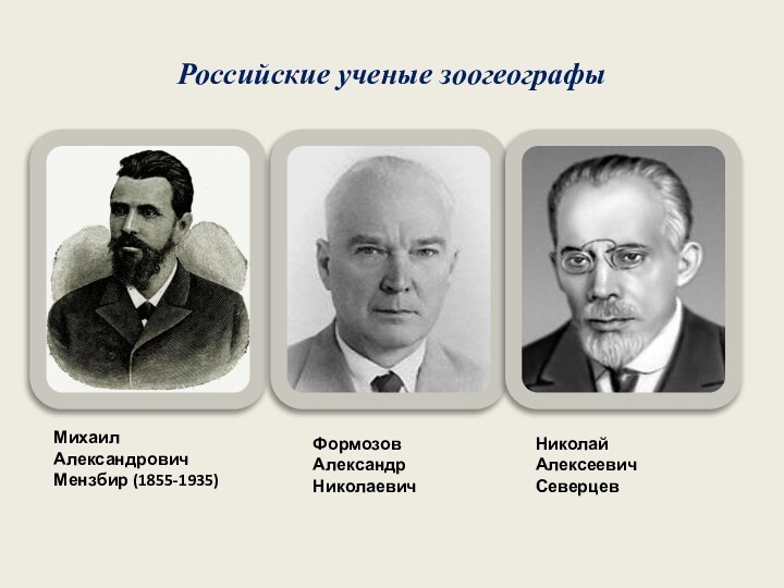 Российские ученые зоогеографыМихаил Александрович Мензбир (1855-1935) Формозов Александр НиколаевичНиколай Алексеевич Северцев