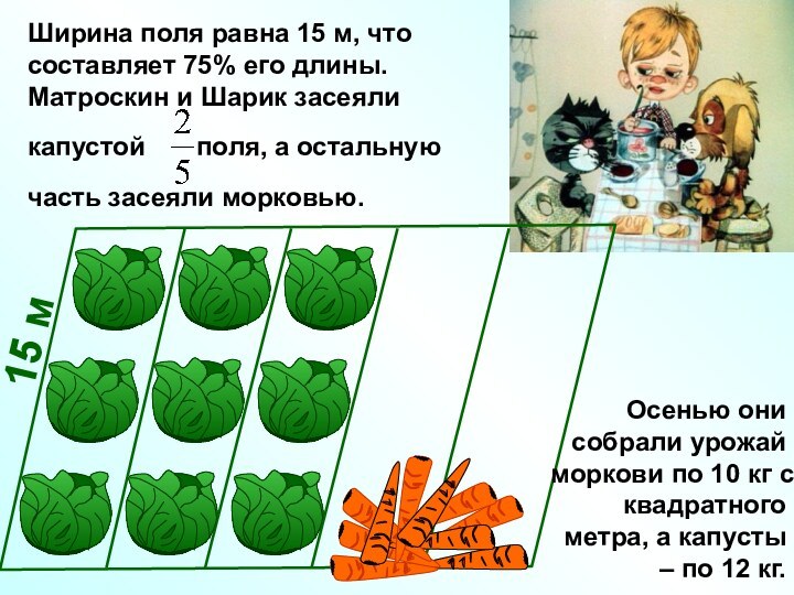 Ширина поля равна 15 м, чтосоставляет 75% его длины. Матроскин и Шарик