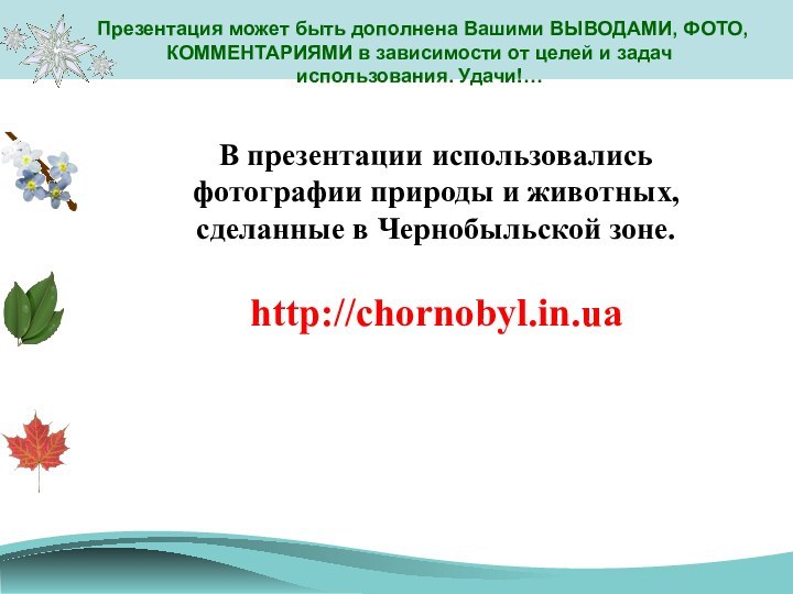 В презентации использовались фотографии природы и животных, сделанные в Чернобыльской зоне.http://chornobyl.in.uaСпасибо !Презентация