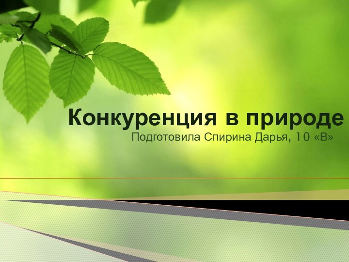 Конкуренция в природеПодготовила Спирина Дарья, 10 «В»