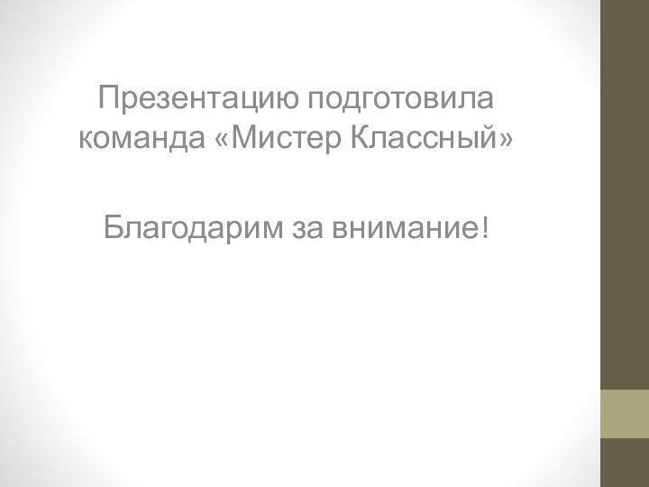 Презентацию подготовила команда «Мистер Классный»Благодарим за внимание!