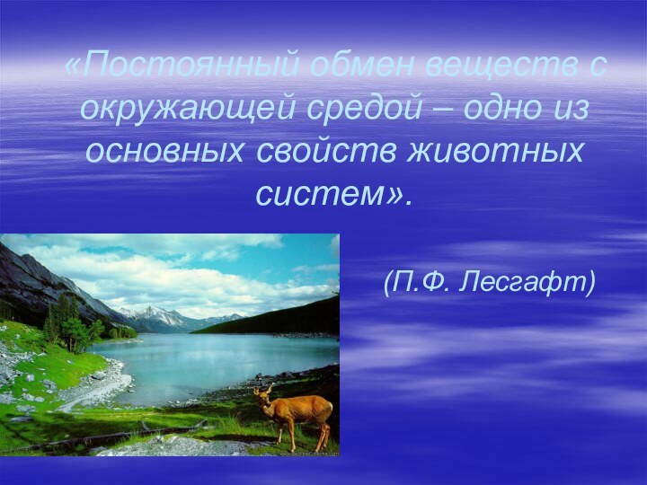 «Постоянный обмен веществ с окружающей средой – одно из основных свойств животных