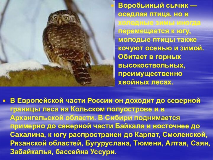 В Европейской части России он доходит до северной границы леса на Кольском