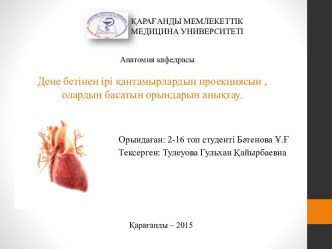 Дене бетінен ірі қантамырлардың проекциясын , олардың басатын орындарын анықтау.