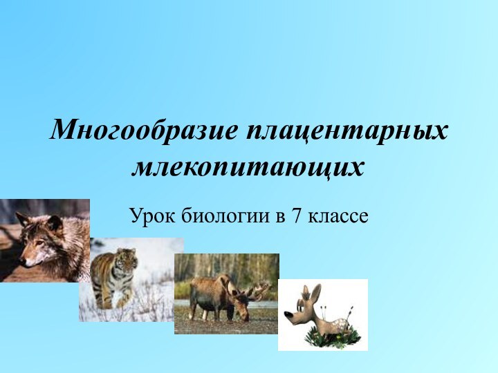 Многообразие плацентарных млекопитающихУрок биологии в 7 классе