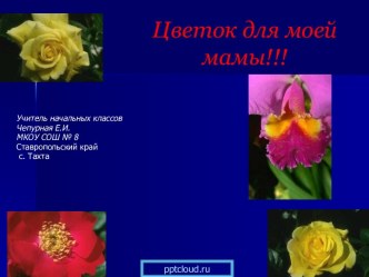 Цветок для моей мамы!!!