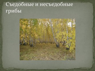 Съедобные и несъедобные грибы