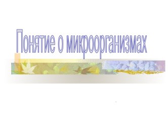 Понятие о микроорганизмах