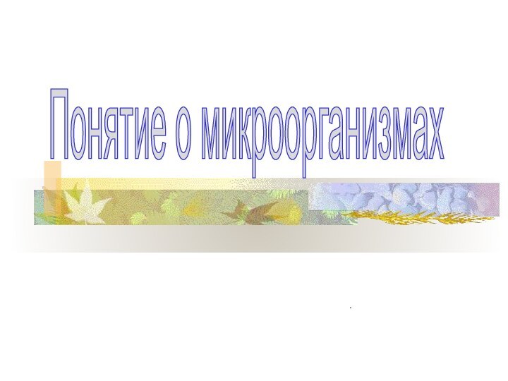 Понятие о микроорганизмах.