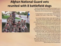 Afghan national guard vets reunited with 8 battlefield dogs