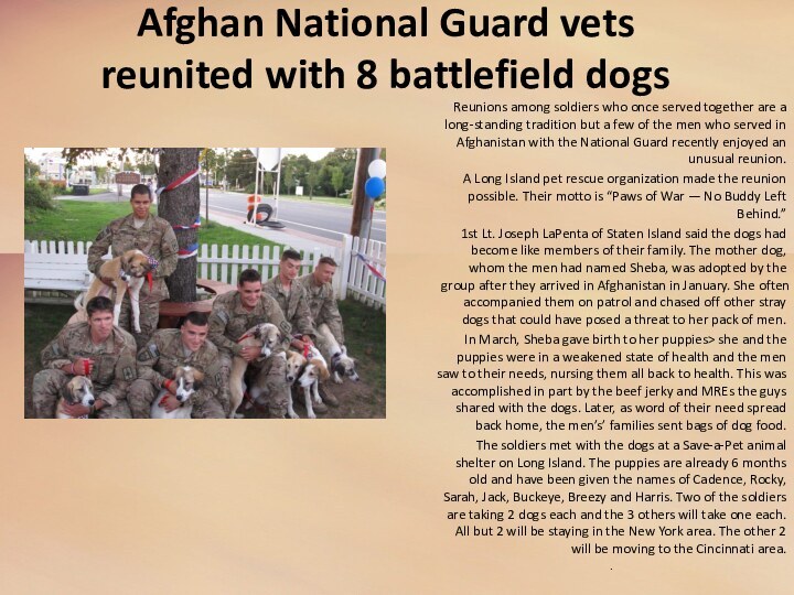 Afghan National Guard vets reunited with 8 battlefield dogs Reunions among soldiers