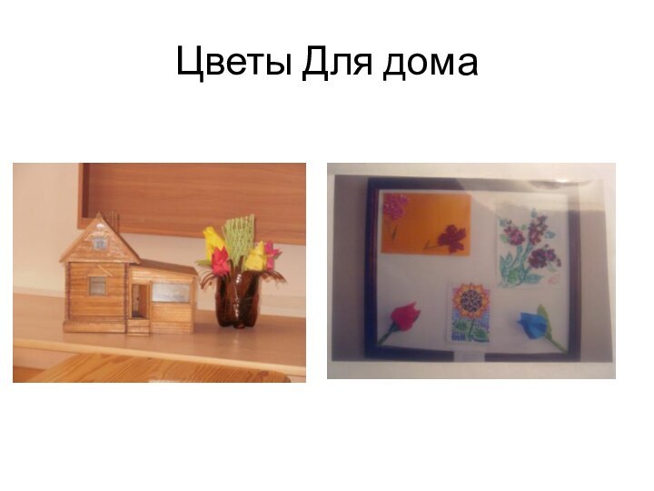 Цветы Для дома