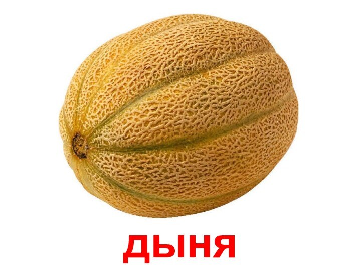 дыня