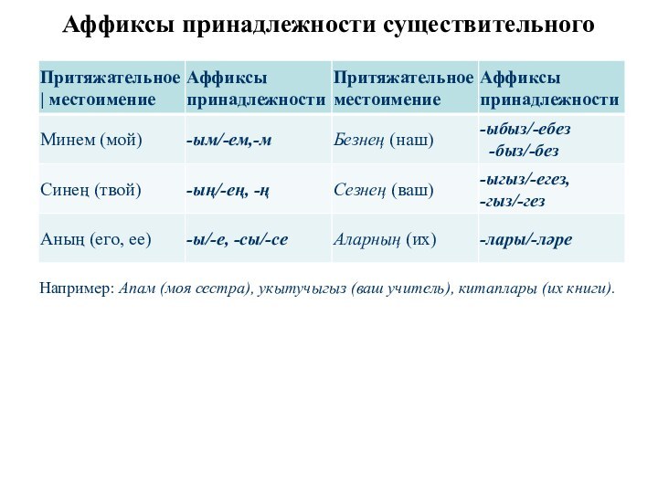 Аффиксы принадлежности существительного Например: Апам (моя сестра), укытучыгыз (ваш учитель), китаплары (их книги).