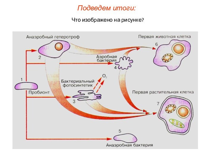 Что изображено на рисунке?Подведем итоги: