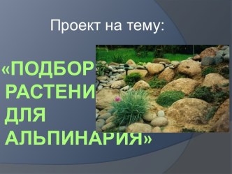 Подбор растений для Альпинария