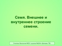 Семя. Внешнее и внутреннее строение семени