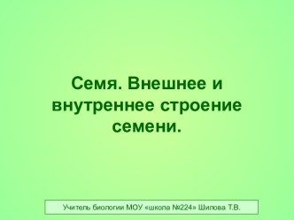 Семя. Внешнее и внутреннее строение семени