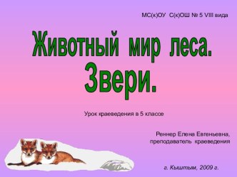 Животный мир леса. Звери