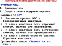 Эволюция опорно-двигательной системы