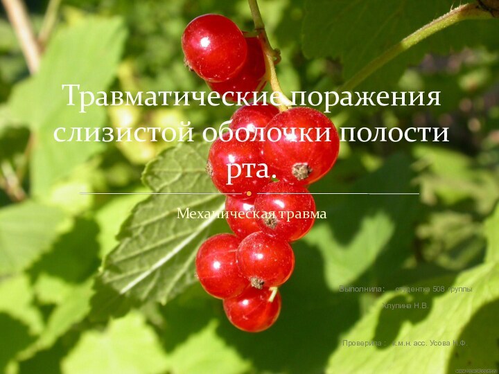 Механическая травмаТравматические поражения слизистой оболочки полости рта.Выполнила: студентка 508 группы Хлупина Н.В.Проверила