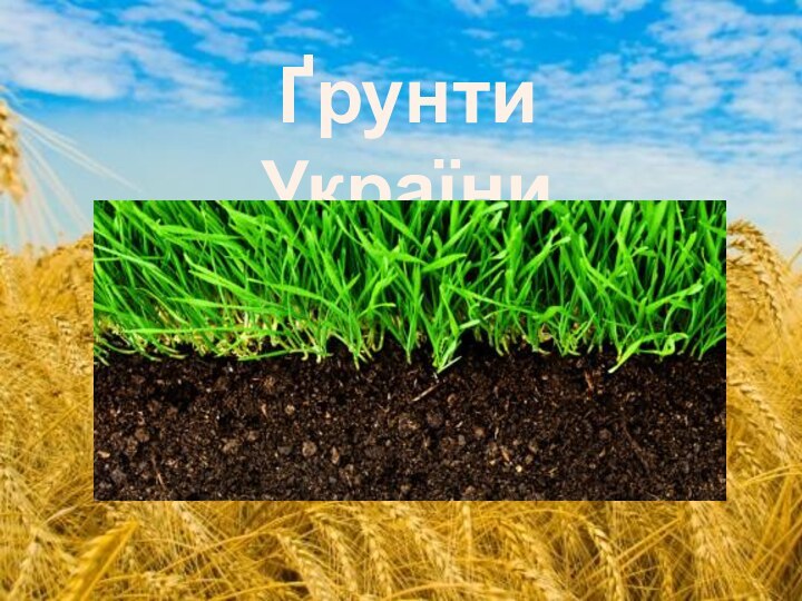 Ґрунти України