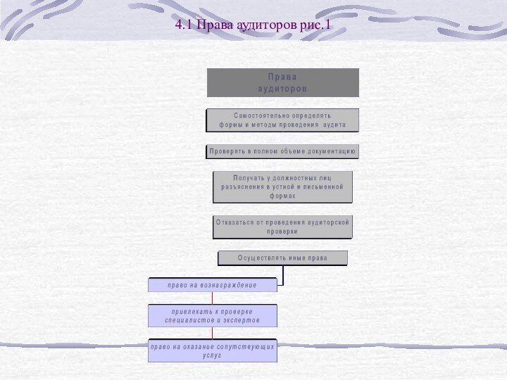 4.1 Права аудиторов рис.1