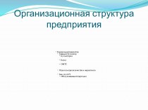 Организационная структура предприятия